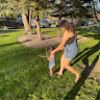 vane_r23